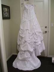 Brand New Wedding Dress & Veil
