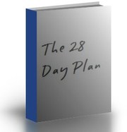 THE 28 DAY PLAN
