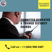 Do You Want A Service in Residential Security Richmond?