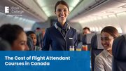 Flight Attendant Course Costs in Canada: What to Expect