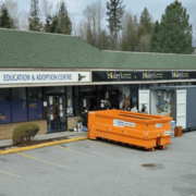 Disposal Bin Rental Services in Vancouver & Surrey